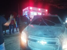 Municipio Falcón| Vídeo| Esquivó una vaca y chocó con un cují