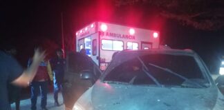 Municipio Falcón| Vídeo| Esquivó una vaca y chocó con un cují