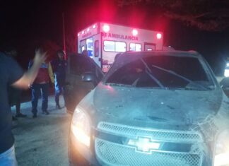 Municipio Falcón| Vídeo| Esquivó una vaca y chocó con un cují