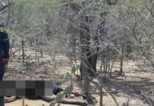 Coro| Encuentran el cadáver del adulto mayor desaparecido en el sector Los Arenales
