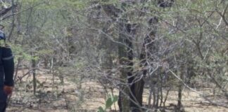 Coro| Encuentran el cadáver del adulto mayor desaparecido en el sector Los Arenales