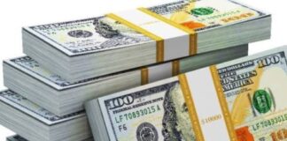 Dólar y euro BCV para el 5 de mayo