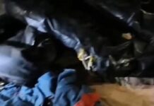 Municipio Falcón| Localizan chalecos salvavidas de embarcación «Juan Junior»