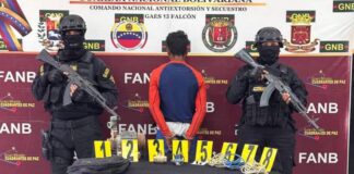 Punto Fijo| Detenido por hurto