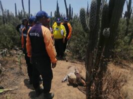 Buchivacoa| localizan muerto a adulto mayor desaparecido