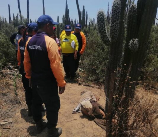 Buchivacoa| localizan muerto a adulto mayor desaparecido
