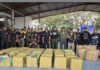 Apure| Incautan más de 3.5 toneladas droga