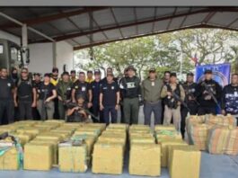 Apure| Incautan más de 3.5 toneladas droga