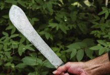 Municipio Carirubana| Hombre sufrió un machetazo en una riña familiar