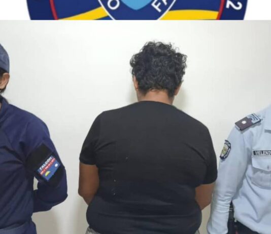 Municipio Colina| Detenida por maltrato infantil