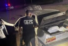 Lara| Localizan 383 panelas de marihuana en un vehículo abandonado