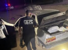 Lara| Localizan 383 panelas de marihuana en un vehículo abandonado