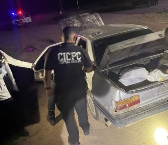 Lara| Localizan 383 panelas de marihuana en un vehículo abandonado