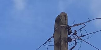 Municipio Falcón| Sector El Llano de San José de Cocodite lleva más de 24 sin «luz» y sumando