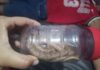 Municipio Falcón| Niño es mordido por una serpiente