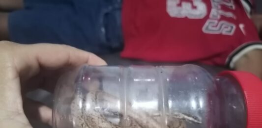 Municipio Falcón| Niño es mordido por una serpiente