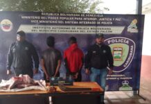 Municipio Carirubana| Dos detenidos por abigeato