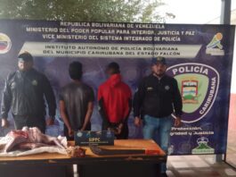 Municipio Carirubana| Dos detenidos por abigeato