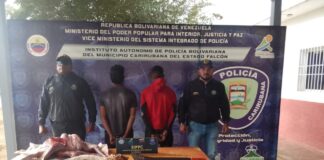 Municipio Carirubana| Dos detenidos por abigeato