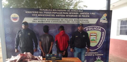 Municipio Carirubana| Dos detenidos por abigeato