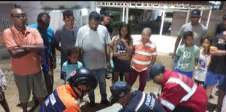 Punto Fijo| Arrollado adolescente en Carirubana