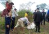 Municipio Federación| Adulto mayor fue asesinado por abejas