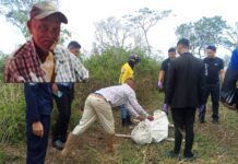 Municipio Federación| Adulto mayor fue asesinado por abejas