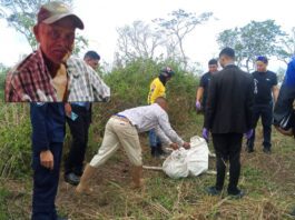 Municipio Federación| Adulto mayor fue asesinado por abejas