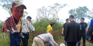 Municipio Federación| Adulto mayor fue asesinado por abejas