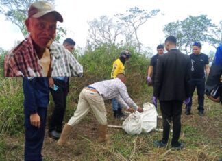 Municipio Federación| Adulto mayor fue asesinado por abejas
