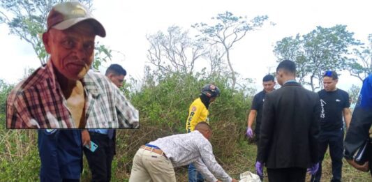 Municipio Federación| Adulto mayor fue asesinado por abejas