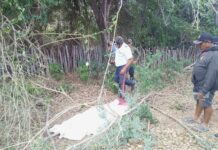 Tragedia en el campo: Hallan sin vida a un agricultor en Zazárida