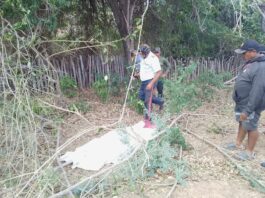Tragedia en el campo: Hallan sin vida a un agricultor en Zazárida