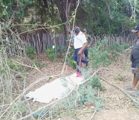 Tragedia en el campo: Hallan sin vida a un agricultor en Zazárida