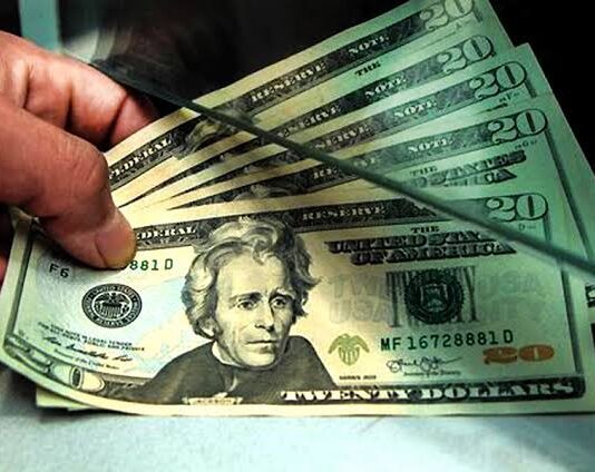 Dólar y euro BCV para el 11 de junio
