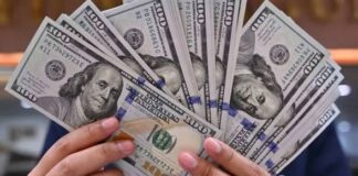 Dólar y euro BCV para hoy 24 de junio