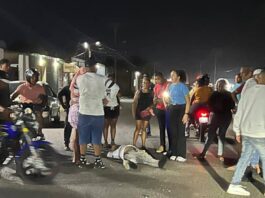 Vídeo| Lesionado funcionario policial en accidente de tránsito