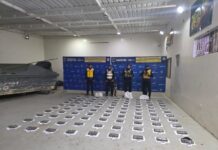Los Taques| Localizan 90 envoltorios de marihuana