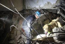 ¡Esperanza entre el desastre! Pequeño Kleiber Moran es rescatado con vida seis días después del sismo