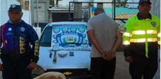 Agarraron a comerciante hurtando ovejos ajenos