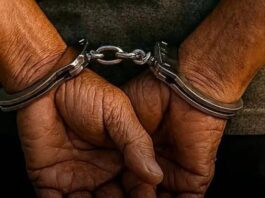 ¡Cayó azote de Nuevo Pueblo Norte! CICPC detiene a sujeto tras una ola de hurtos en viviendas
