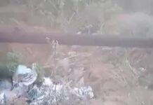 Vídeo| Denuncian botadero improvisado de basura en San José de Cocodite