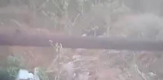 Vídeo| Denuncian botadero improvisado de basura en San José de Cocodite