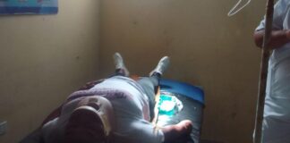 ¡Susto en la vía! Una mujer resultó herida tras impactar contra una cabra
