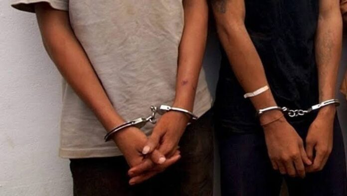 Dos detenidos