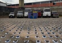 Incautan más de 470 kilos de droga y una flota de vehículos en Bailadores