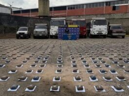 Incautan más de 470 kilos de droga y una flota de vehículos en Bailadores