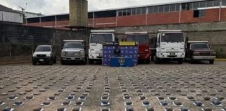 Incautan más de 470 kilos de droga y una flota de vehículos en Bailadores