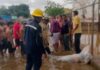 Tragedia bajo la lluvia en Coro: Dos fallecidos tras desprendimiento de tendido eléctrico en Bobare