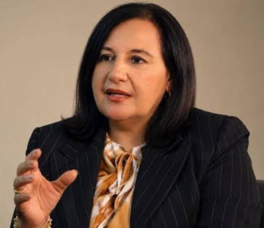 Dinorah Figuera: reinstitucionalización del país y una transición electoral pacífica y democrática